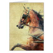 Hackney Pony (Voorkant)