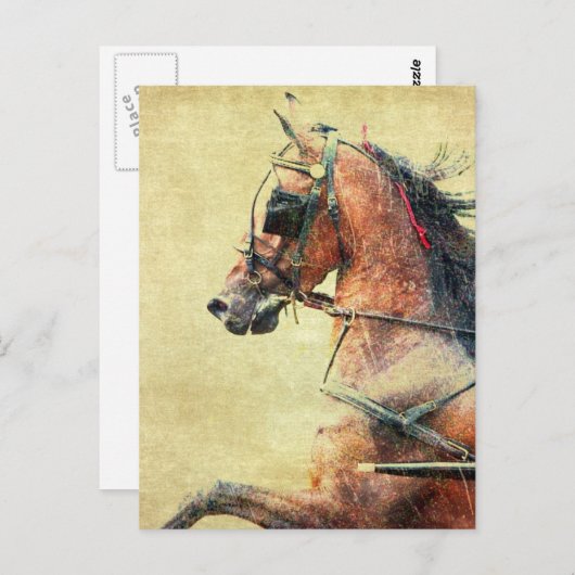 Hackney Pony Briefkaart (Voorkant / Achterkant)