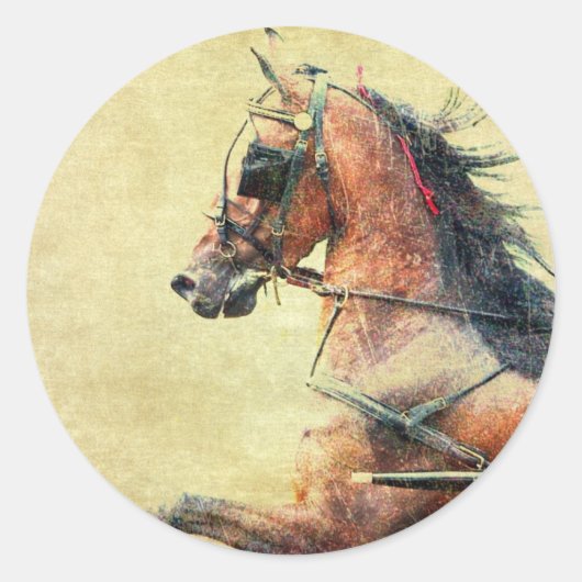Hackney Pony Ronde Sticker (Voorkant)
