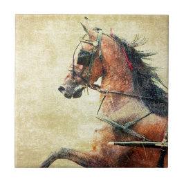 Hackney Pony Tegeltje