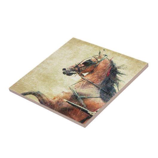 Hackney Pony Tegeltje (Zijkant)