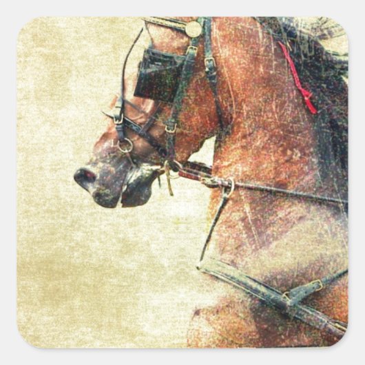 Hackney Pony Vierkante Sticker (Voorkant)