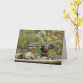 Had een misverstand? Begin die opnieuw spreken! Kaart (Gele Bloem)