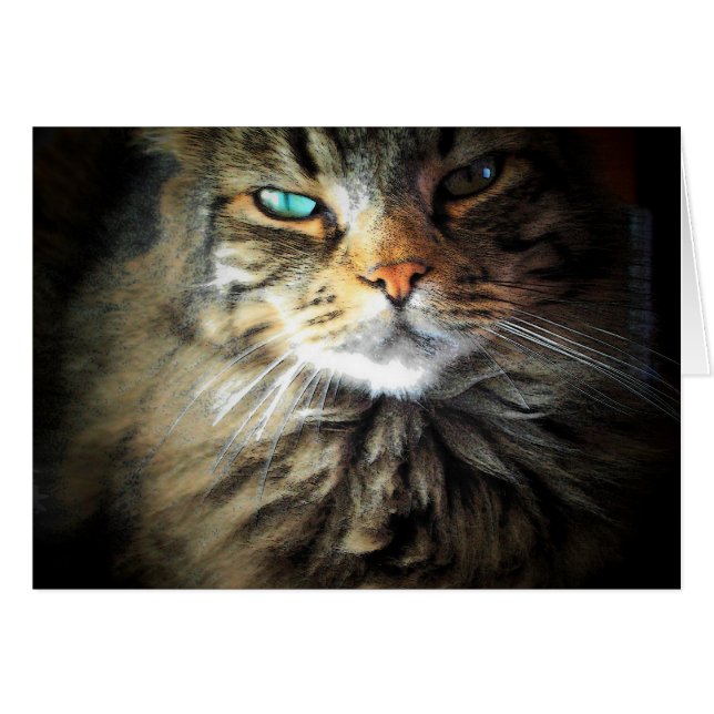 Had me in Meow (Voorkant Horizontaal)