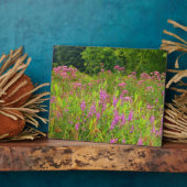 Haddam Meadows Wildflower Plaque Fotoplaat (Zijkant)
