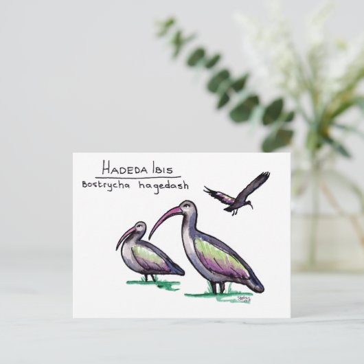 Hadeda Ibis Briefkaart (Staand voorkant)