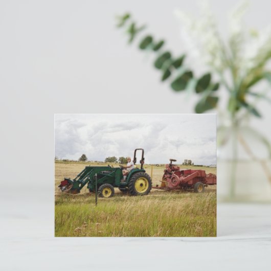 Haden in Golden Ranch Fields Briefkaart (Staand voorkant)