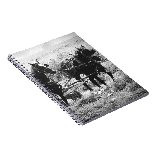 Haden in zwart-wit notitieboek (Rechterzijde)