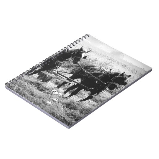 Haden in zwart-wit notitieboek (Linkerzijde)