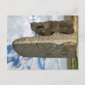 Hadleigh Castle Essex Briefkaart (Voorkant)