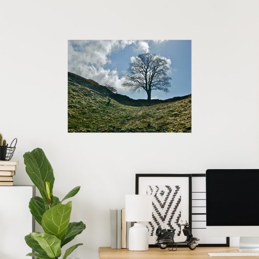 Hadrians greep in de muur, Sycamore Tree Poster (Thuiskantoor)