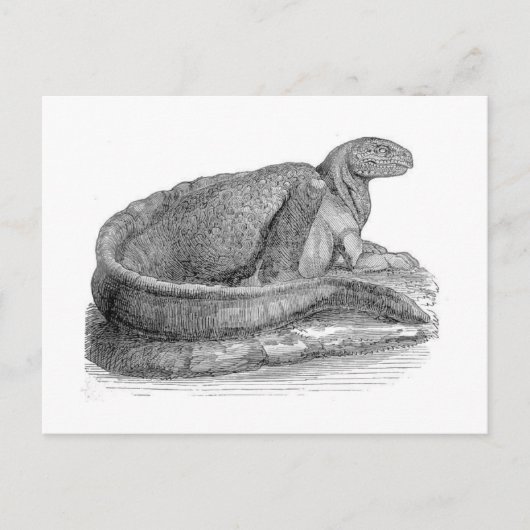 Hadrosaurus Schikptuur Antiek afdrukken Briefkaart (Voorkant)