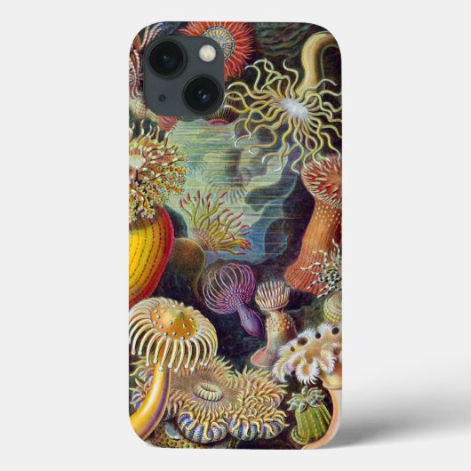 Haeckel Actiniae Print Case-Mate iPhone Case (Achterkant)