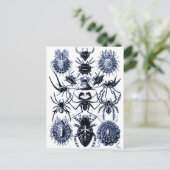 Haeckel Arachnida Spiders in Blue Briefkaart (Staand voorkant)