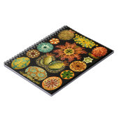 Haeckel Ascidiae Zee Life Illustration 6.5x8.75" Notitieboek (Linkerzijde)