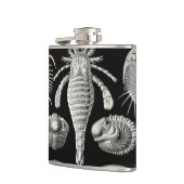 Haeckel Aspidonia Heupfles (Links)