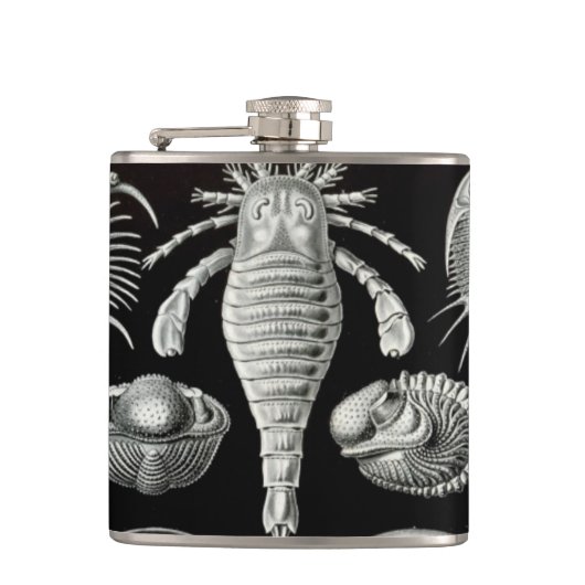 Haeckel Aspidonia Heupfles (Voorkant)