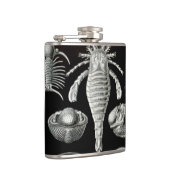 Haeckel Aspidonia Heupfles (Rechts)