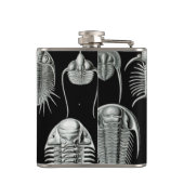Haeckel Aspidonia Heupfles (Achterkant)