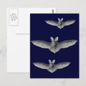Haeckel Bat Briefkaart (Voorkant / Achterkant)