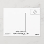 Haeckel Bat Briefkaart (Achterkant)