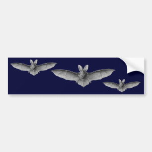 Haeckel Bats Bumpersticker