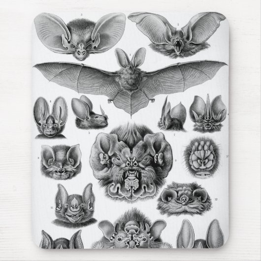 Haeckel Bats Muismat (Voorkant)