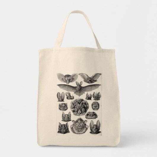 Haeckel Bats Tote Bag (Voorkant)