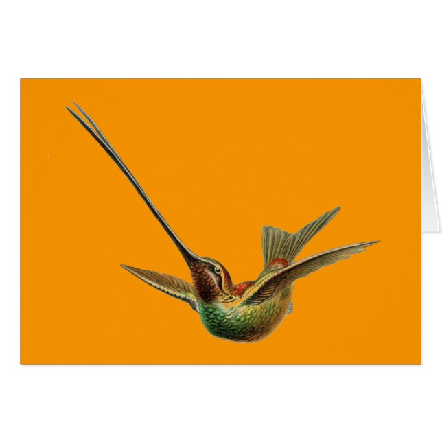 Haeckel Bird (Voorkant Horizontaal)