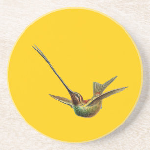 Haeckel Bird Zandsteen Onderzetter