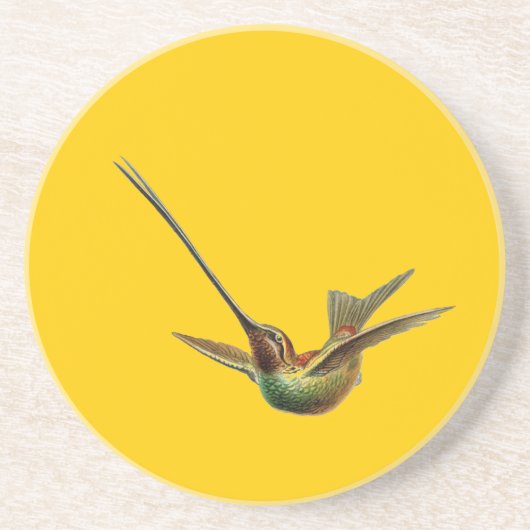 Haeckel Bird Zandsteen Onderzetter (Voorkant)