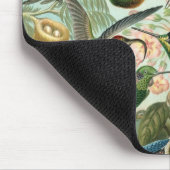 Haeckel Birds Muismat (Hoek)