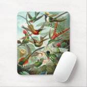 Haeckel Birds Muismat (Met muis)