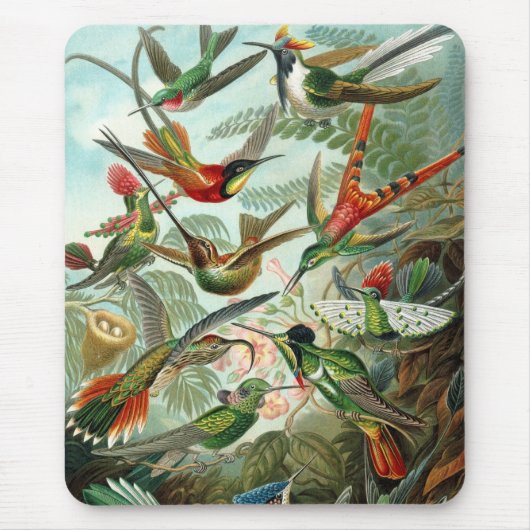 Haeckel Birds Muismat (Voorkant)