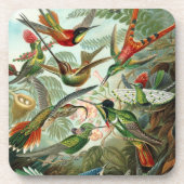 Haeckel Birds Onderzetter (Voorkant)