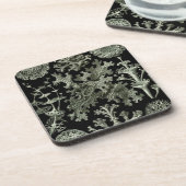 Haeckel Black Bier Onderzetter (Linkerzijde)