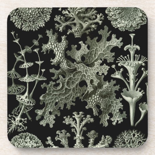 Haeckel Black Bier Onderzetter (Voorkant)