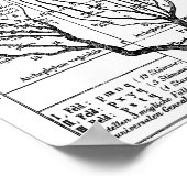 Haeckel boom of Life Poster (Hoek)