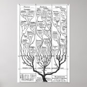 Haeckel boom of Life Poster (Voorkant)