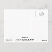 Haeckel Briefkaart (Achterkant)