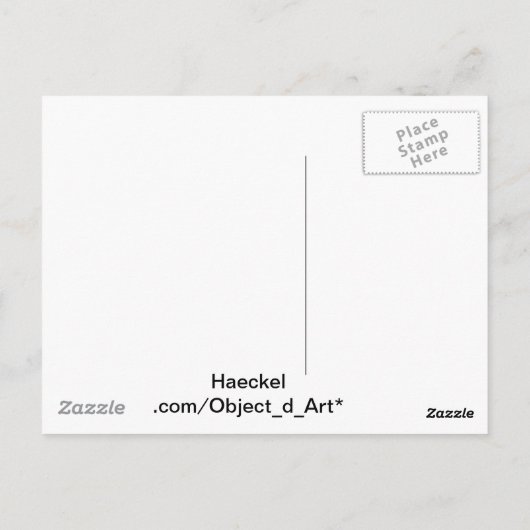 Haeckel Briefkaart (Achterkant)