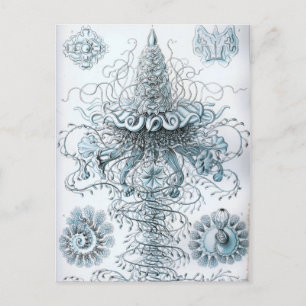 Haeckel Briefkaart