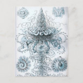 Haeckel Briefkaart (Voorkant)