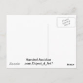 Haeckel Briefkaart (Achterkant)