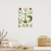 Haeckel Bryozoa Poster (Keuken)