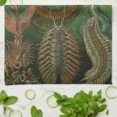 Haeckel Bugs Theedoek (Gevouwen)