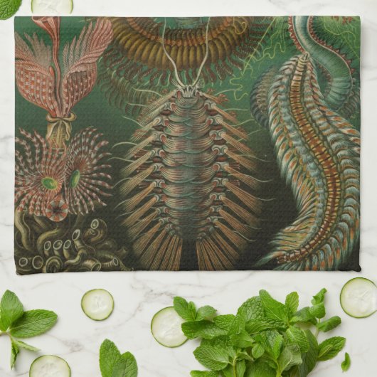 Haeckel Bugs Theedoek (Gevouwen)