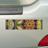 Haeckel Bumpersticker (Op auto)