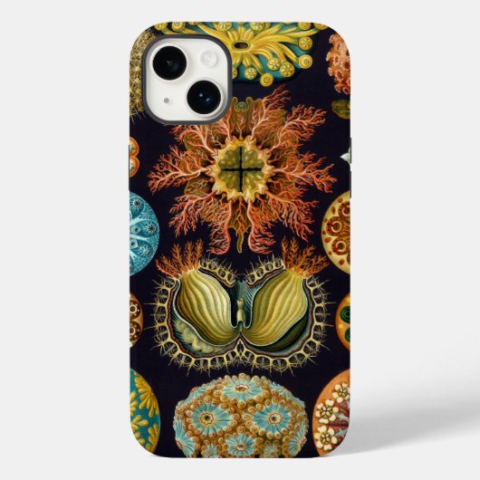 Haeckel Case-Mate iPhone Case (Achterkant)