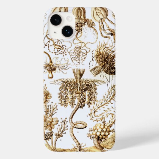 Haeckel Case-Mate iPhone Case (Achterkant)